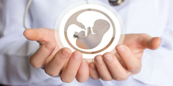 ivf in mexico