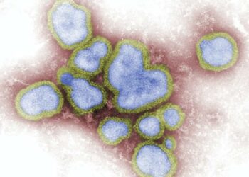 Influenza Incubation Period And Symptoms 8 Influenza Incubation Period And Symptoms