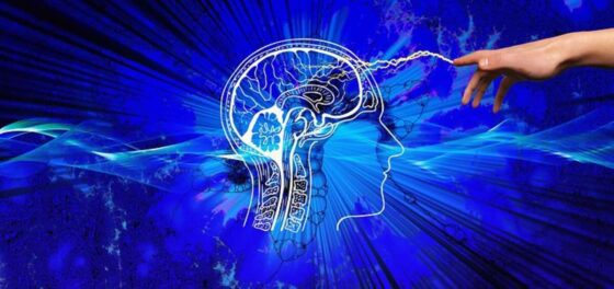 latest nootropic stack rankings 1
