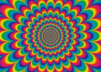 Cardiovascular Exercise Workout Plans HIIT Against LSD