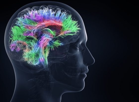 How Long Does Ketamine Neuroplasticity Last: Exploring the Effects and Duration