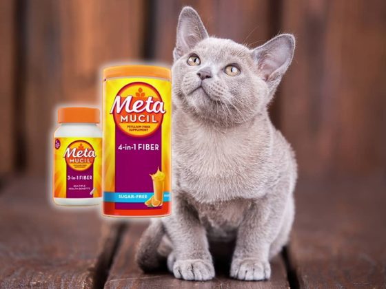 Metamucil for Cats